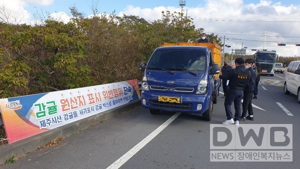 서귀포시와 제주자치경찰단은 주요도로변에서 합동 단속을 시행했다.