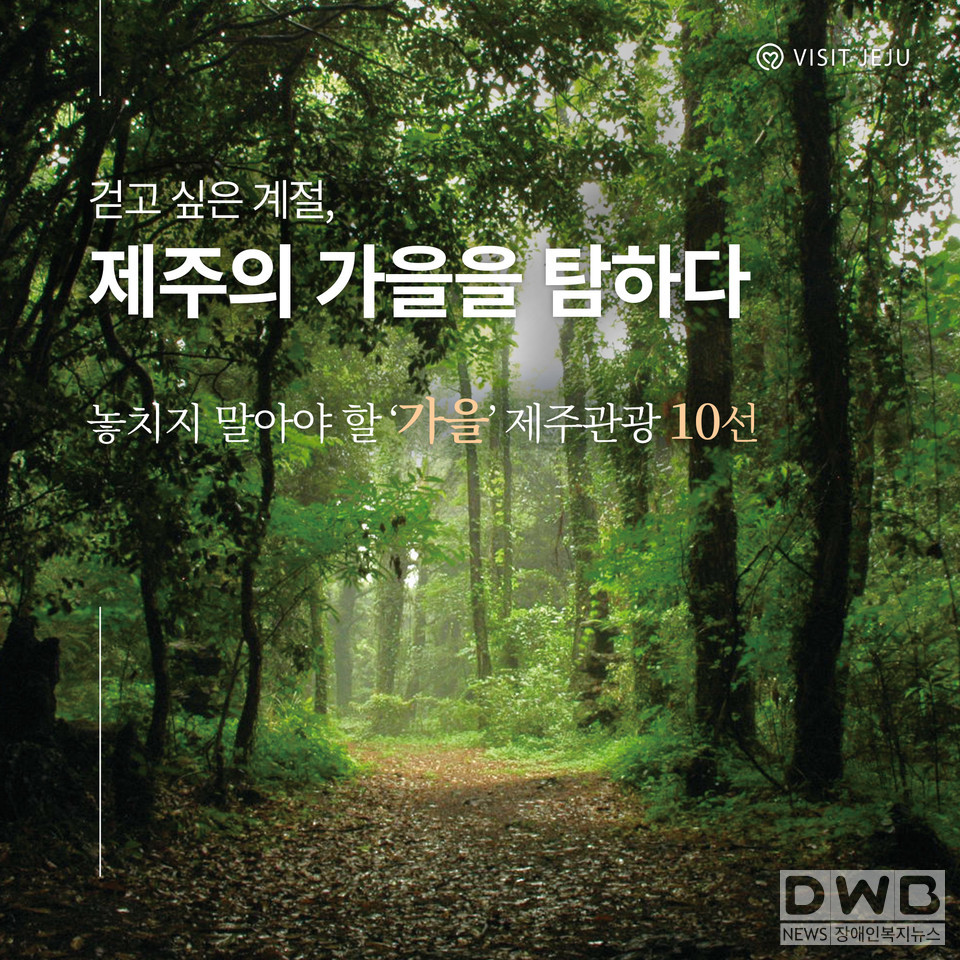 걷고 싶은 계절 제주의 가을 탐하다 (사진= 제주관광공사 제공)