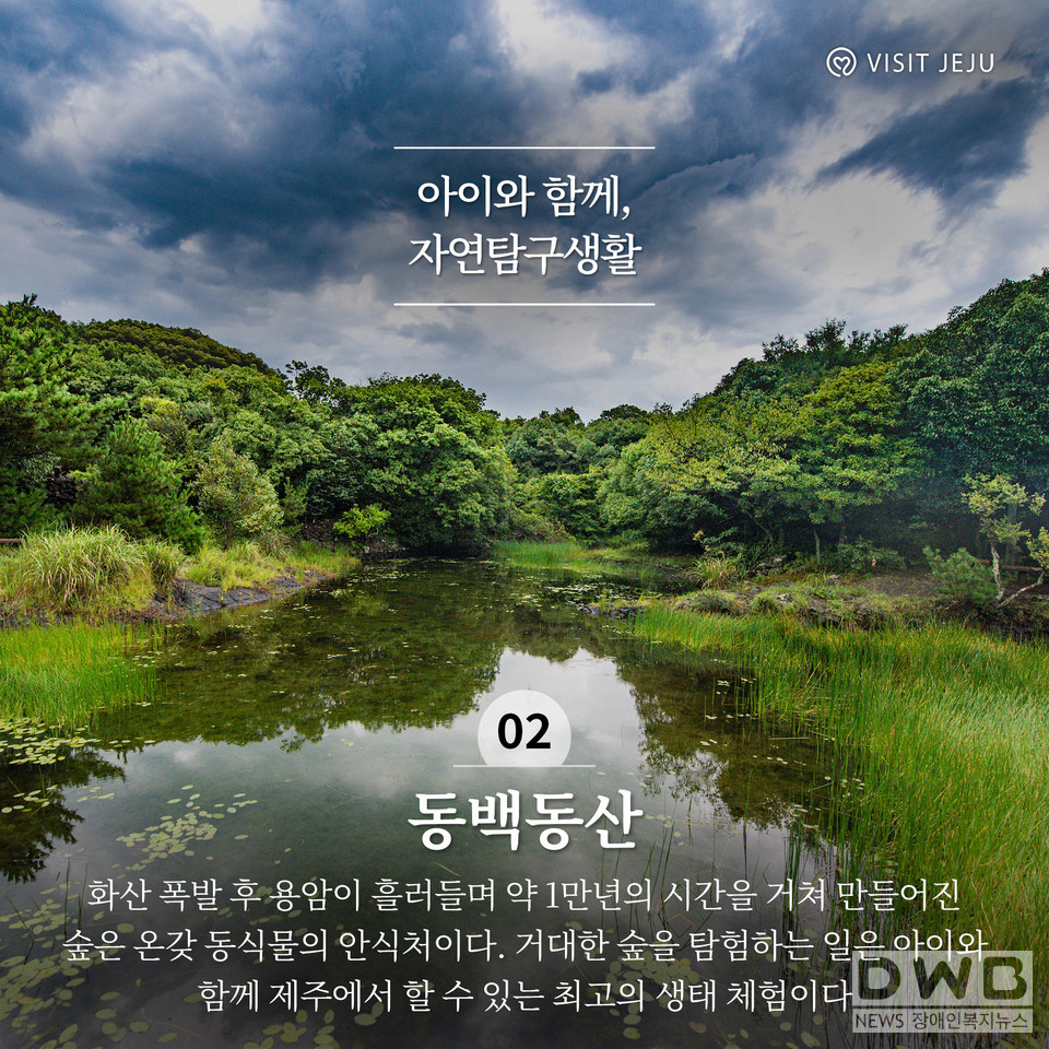 아이와 함께 자연탐구생활 '동백동산' (사진= 제주관광공사 제공)
