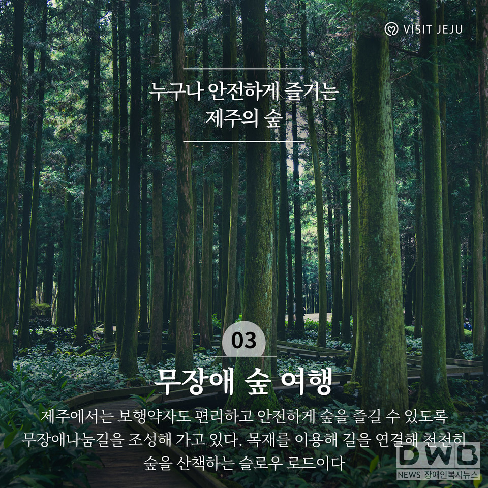 누구나 안전하게 즐기는 제주의 숲 "무장애 숲 여행 5"  '사려니숲, 서귀포 치유의숲, 서귀포자연휴양림, 붉은오름자연휴양림, 절물' (사진= 제주관광공사 제공)