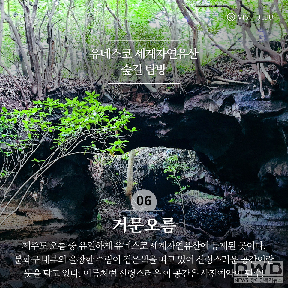 유네스코 세계자연유산 숲길 탐방 '거문오름'