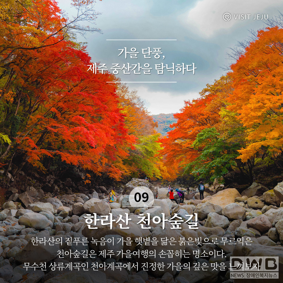 가을 단풍, 제주 중산간을 탐닉하다 '한라산 천아숲길' (사진= 제주관광공사 제공)