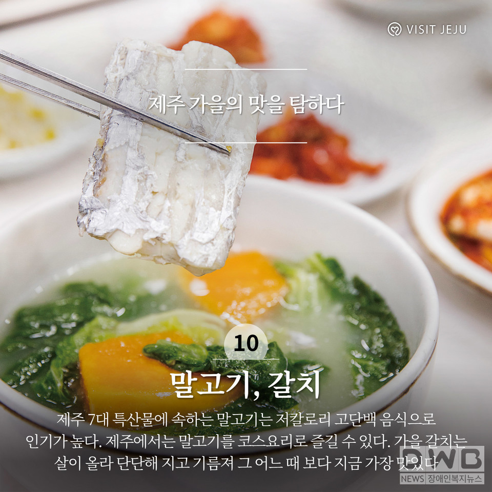 제주 가을의 맛을 탐하다 '말고기, 갈치' (사진= 제주관광공사 제공)