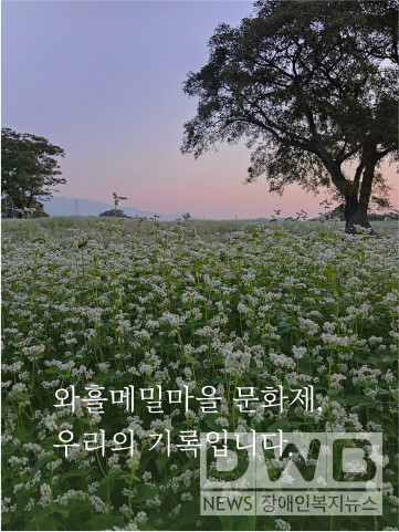 제주, 메밀산업 중심지로 도약 준비(제3차 메밀산업 육성 기본계획 확정…품종개발부터 관광연계까지 종합지원)/자료=제주도청