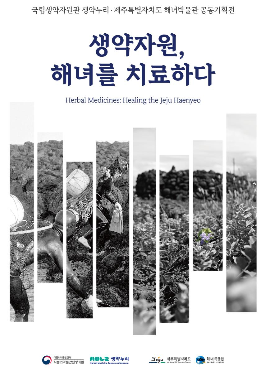 전복‧해삼‧쑥…제주해녀의 생약자원 조명(내년 8월말까지 해녀박물관·국립생약자원관 생약누리 공동기획 전시)/자료=제주도청