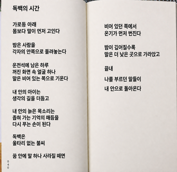 양창식 시인의 시 '독백의 시간' 전문